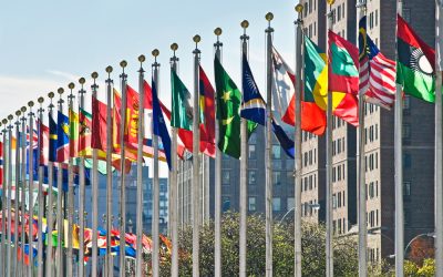 The perennial question of the reform of the United Nations Security Council