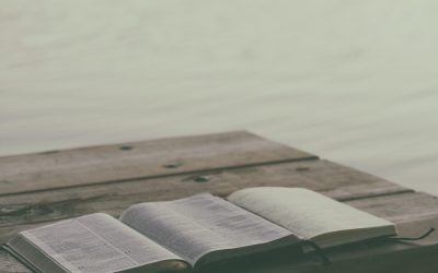 New Article: ‘Implications of Lived and Packaged Religions for Intercultural Dialogue to Reduce Conflict and Terror’