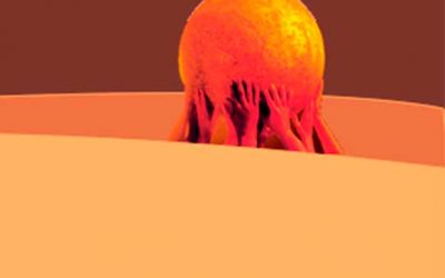 Event – 4th International Conference “For World Balance”