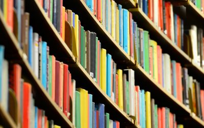 Professor Fethi Mansouri joins the ‘Routledge Series on Life and Values Education’ Editorial Board