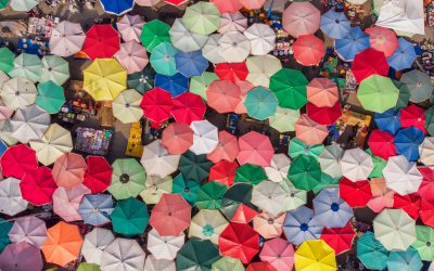 Denis Mukwege Program: Training of Trainers in Human Rights and Culture of Peace