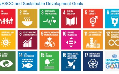 UNESCO Together for Peace (T4P) Experts Meeting