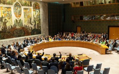 The reform of the United Nations Security Council: the need to rationalize the debate for appropriate solutions